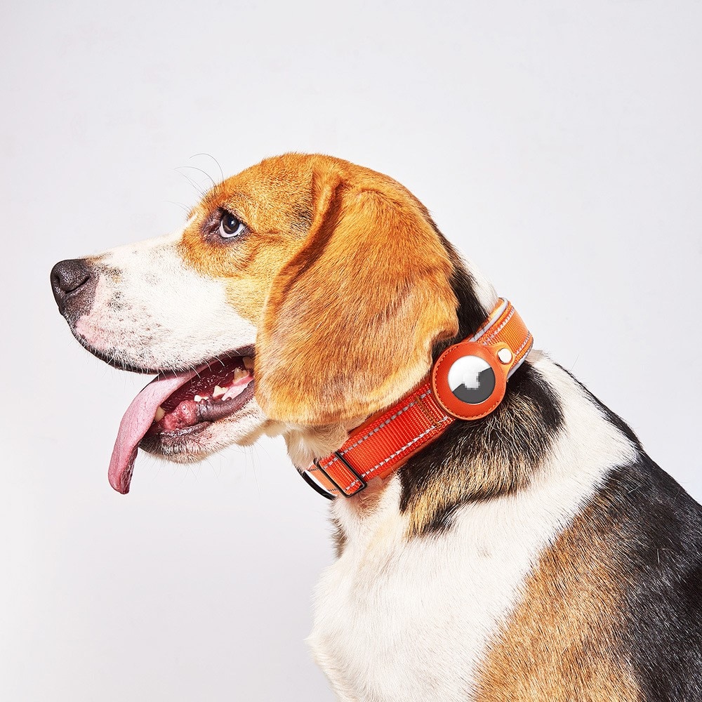 Apple AirTag Collar para Perro con Reflectante M, negro